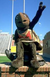 Testudo